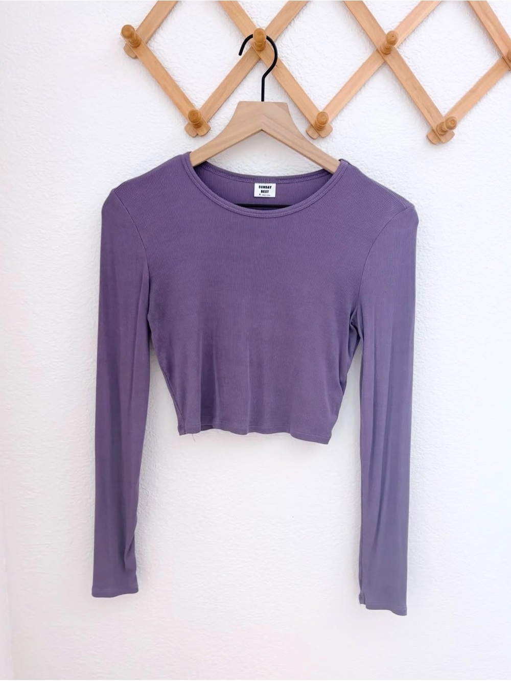 Aritzia Sunday Best Ribbed Cropped Purple Long Sleeve